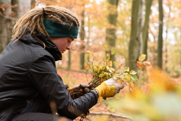 Spielberger pflanzt im Rahmen des Bergwaldprojektes im September 1.000 Bäume im Schwarzwald neu.